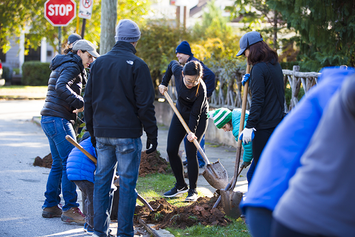 Students work on planting trees