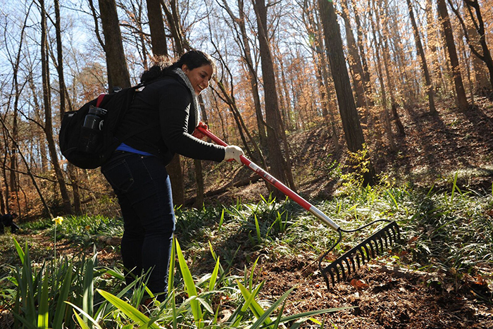 At Atlanta's Kittredge Park, students weeded and mulched trails and helped with removal of invasive plant species.