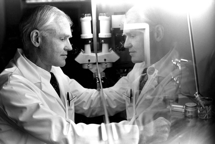 In the dermatology lab where he studied microvascular endothelial cells