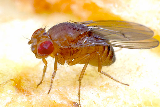 Story image