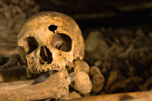 Bone to be wild: Fleshing out a career devoted to skeletons and people
