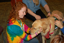 Dogs help students 'paws' for study break