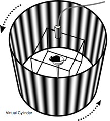 Story image