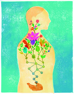 Story image
