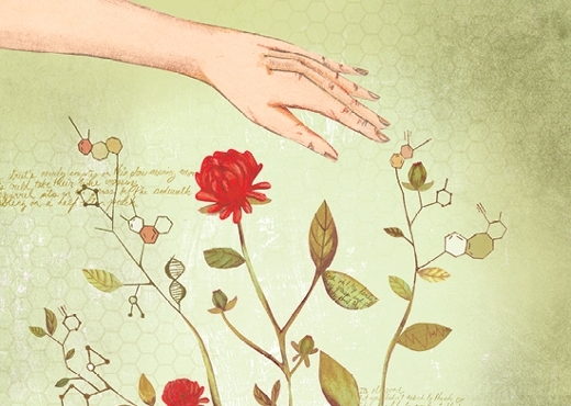 Story image