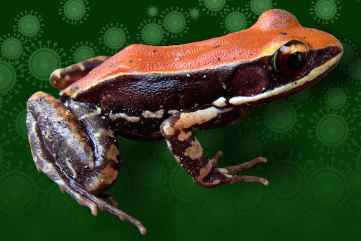 Story image