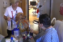 Happy Tails therapy dogs bring comfort and joy to hospital patients
