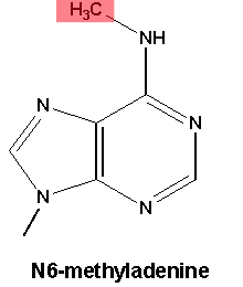 Story image