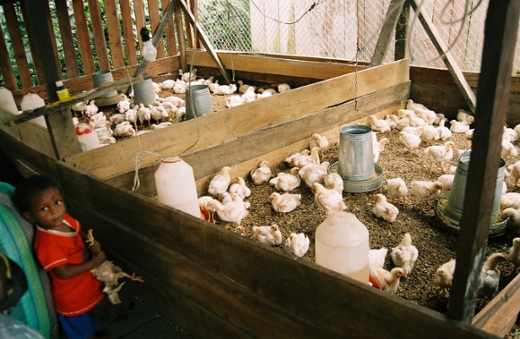 Story image