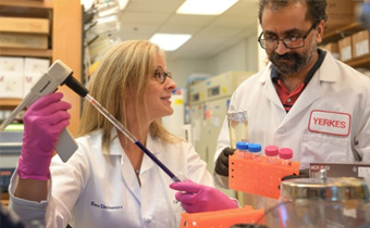 Researchers working in a lab