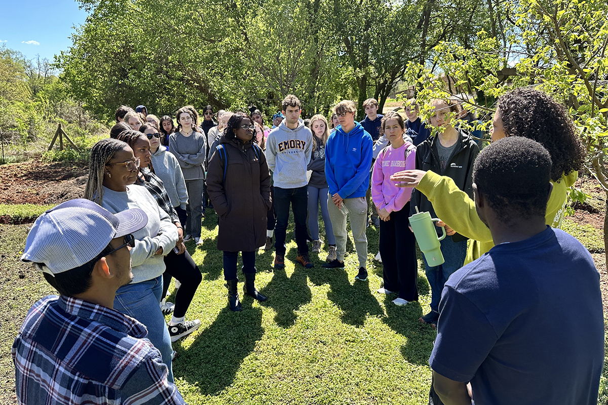Students engaged in a class outdoors