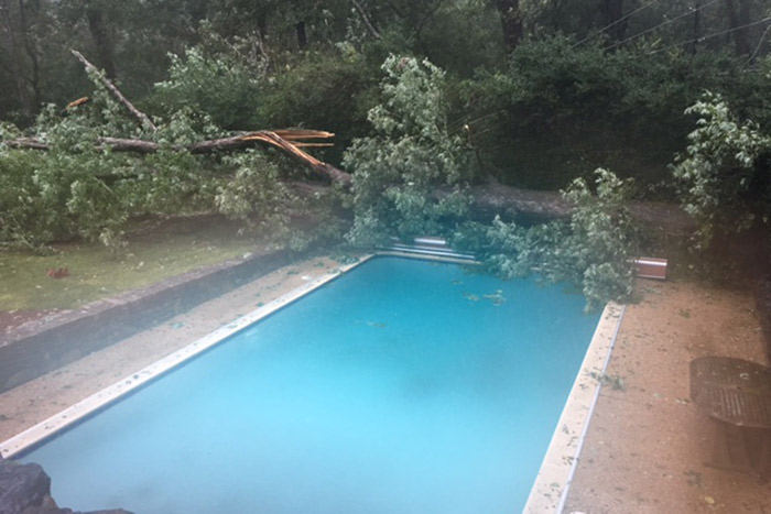 A large tree has just missed a swimming pool on campus.