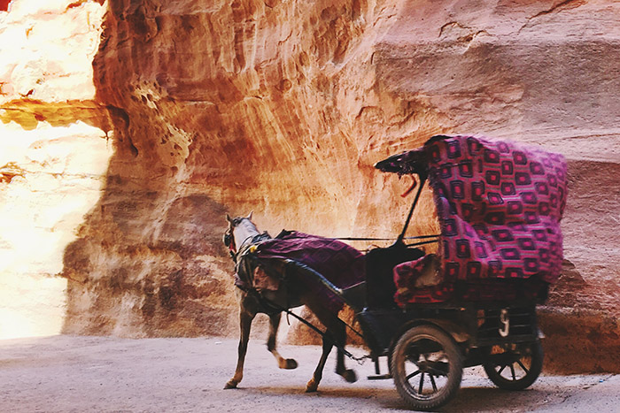 A horse pulls a small buggy in Jordan.