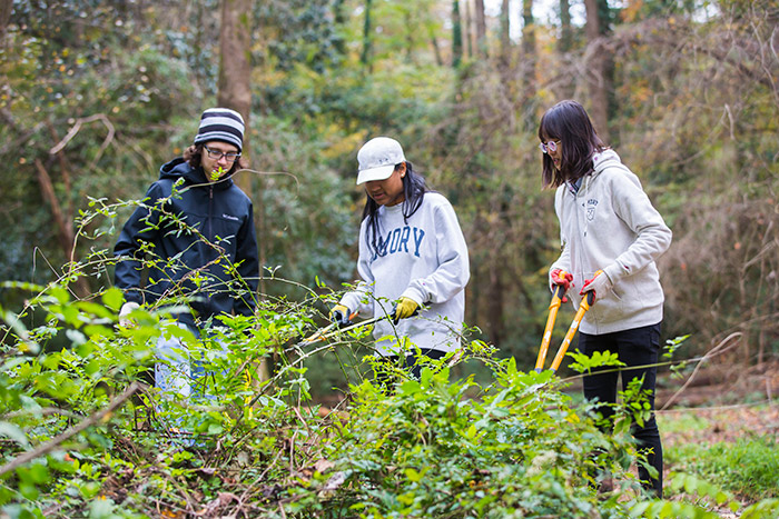 Three students use gardening tools to prune bushes for Emory Cares International Day of Service.