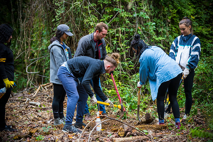 Five students use gardening tools to prune plants and dig up weeds for Emory Cares International Day of Service.