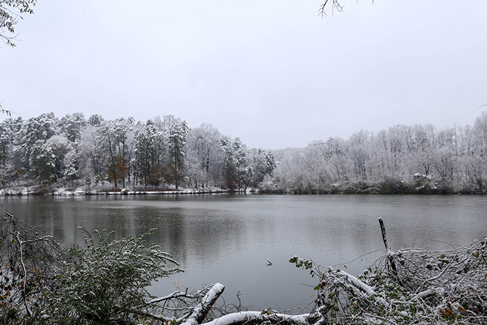 The skeletal-looking tree branches surrounding the lake at Emory's Lullwater Preserve are all white with snow on Saturday morning.