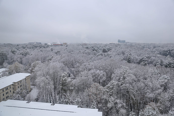A view from a campus rooftop reveals a winter wonderland created by Friday's snowfall.