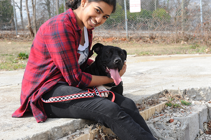 Emory volunteers also enjoyed plenty of wagging tails as they walked dogs at the shelter.