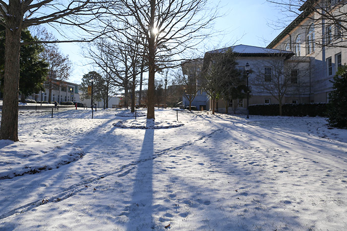 Barren trees and snow cover campus