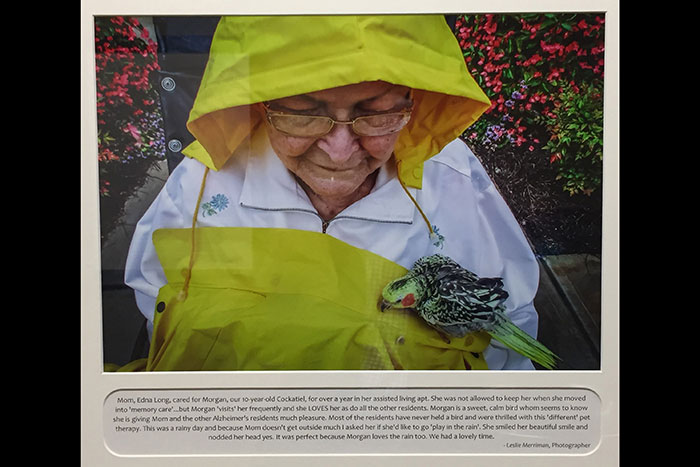 Photo of Edna Long wearing a yellow hood and apron with her cockatiel, Morgan. The caption on the photo reads, "Mom, Edna Long, cared for Morgan, our 10-year-old Cockatiel, for over a year in her assisted living apt. She was not allowed to keep her when she moved into 'memory care'...but Morgan 'visits' her frequently and she LOVES her as do all the other residents. Morgan is a sweet, calm bird whom seems to know she is giving Mom and other Alzheimer's residents much pleasure. Most of the residents have never held a bird and were thrilled with this 'different' pet therapy. This was a rainy day and because Mom doesn't get outside much I asked her if she'd like to go 'play in the rain'. She smiled her beautiful smile and nodded her head yes. It was perfect because Morgan loves the rain too. We had a lovely time. - Leslie Merriman, Photographer"