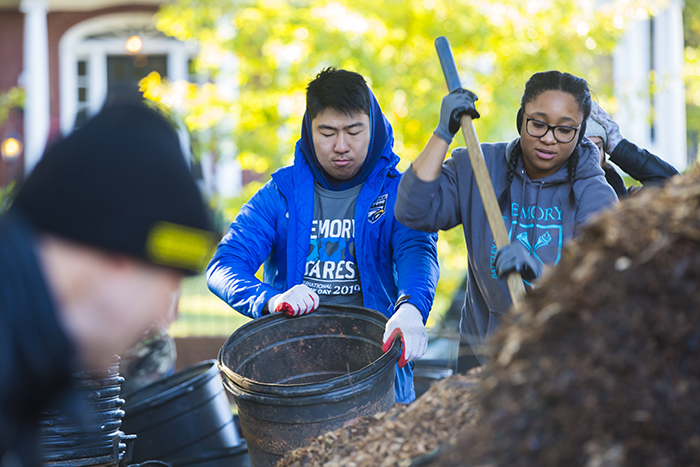 Students work on planting trees