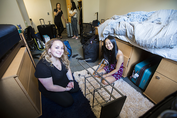 Students build furniture in a dorm room