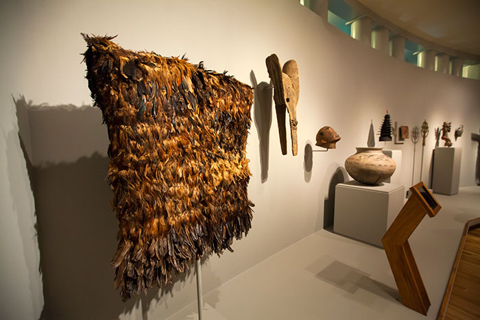items from exhibit on display