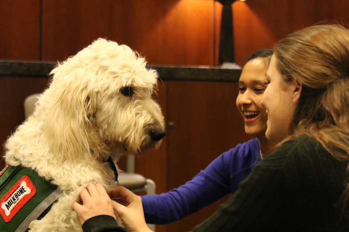 The fourth annual Woodruff Library Pet Therapy Study Break drew more than 200 students. Photos by Wade Moricle / LITS.