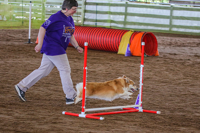 Janey Wilcox, an administrative assistant at Yerkes Field Station, logged her steps by attending agility classes with her dog JoJo.