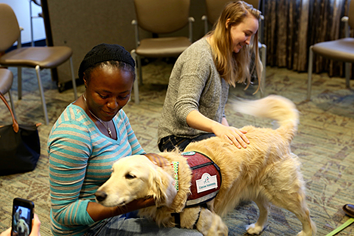 Students with pet therapy dogs fall semester 2016