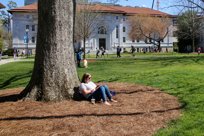 A student studies under a tree on the Quad.