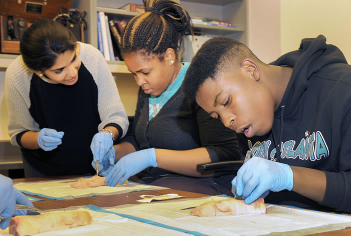 The new initiative, Emory Pipeline Collaborative (EPiC), aims to prepare students from five Atlanta high schools for entry into health professions by increasing academic achievement, improving college readiness, strengthening social support, and broadening student awareness of pathways to health professions.
