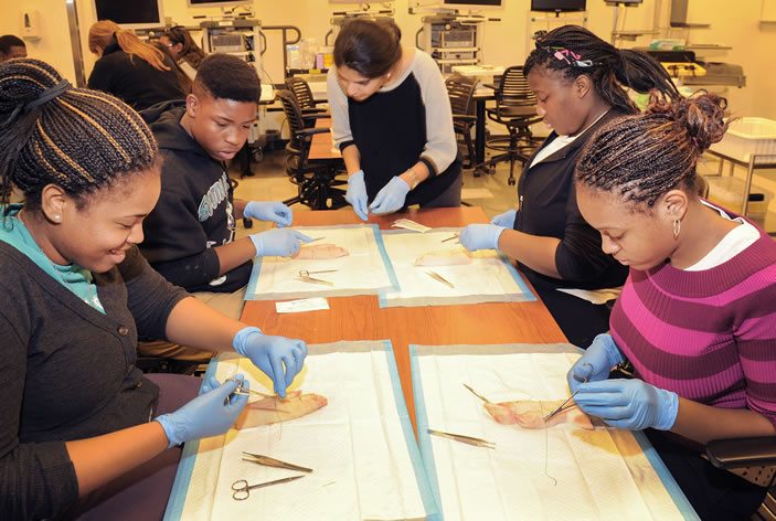 Since 2007, the Pipeline Program has served as a mentorship and health sciences education program linking students from South Atlanta High School of Health and Medical Sciences with undergraduate mentors and graduate student teachers from Emory. 