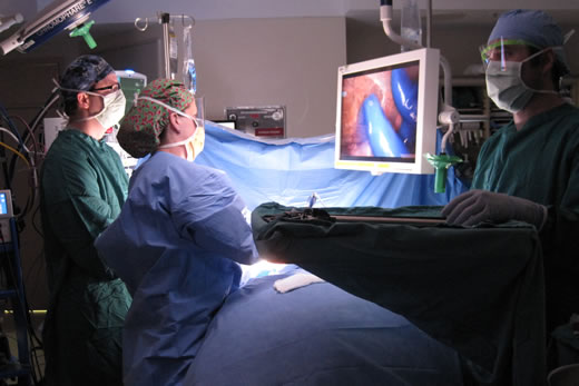 Dr. Nicole Turgeon and her transplant team remove the younger Skrine's kidney at Emory University Hospital on March 5.