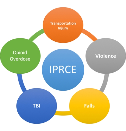 IPRCE areas - Drug safety (opioids), Violence, Motor vehicle crashes, Falls, Traumatic brain injury