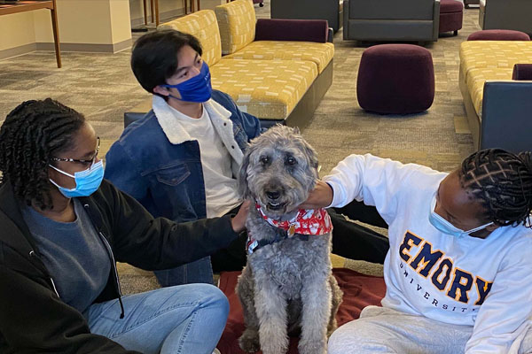 Sassy, a gray goldendoodle, helped students relax as they prepared for final exams.