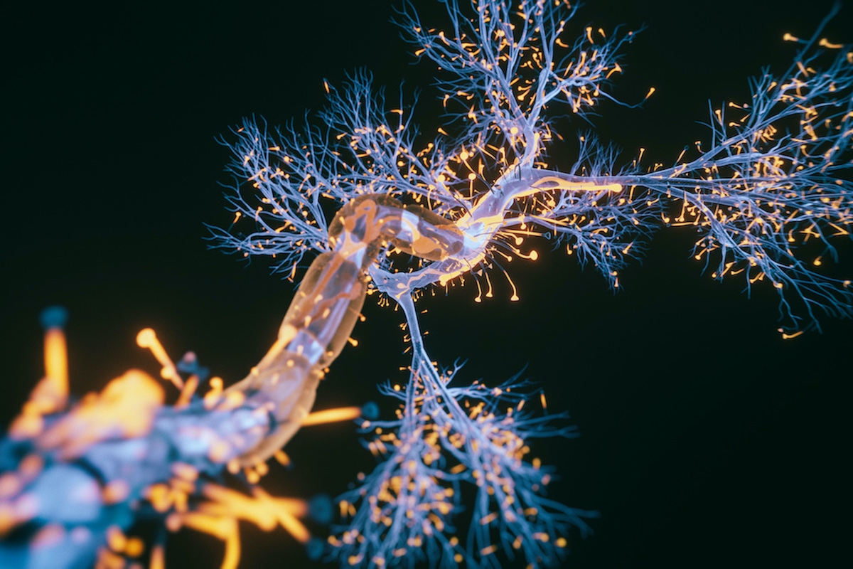 3D rendered image of a neuron cell on black background